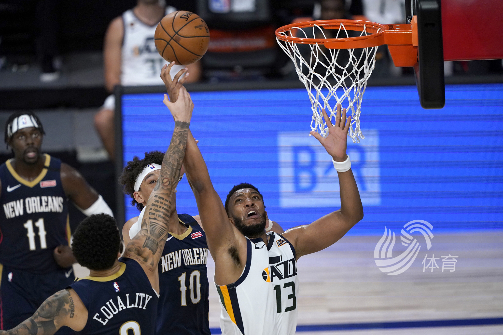 欢呼的球迷 欢呼的球迷